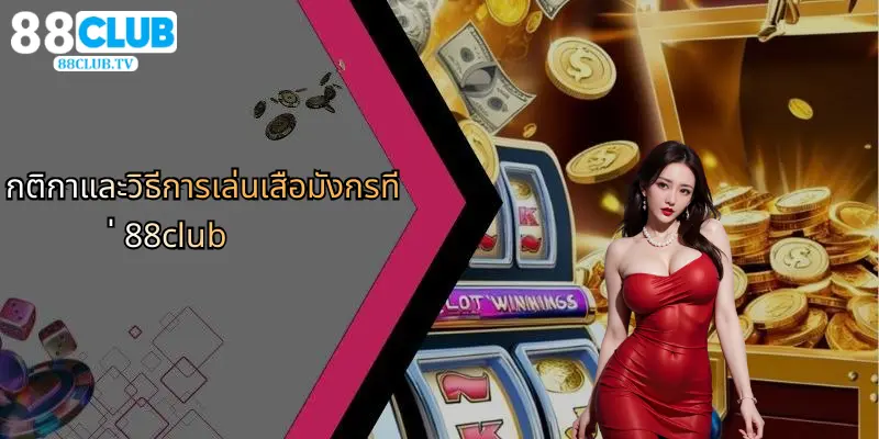 กติกาและวิธีการเล่นเสือมังกรที่ 88club