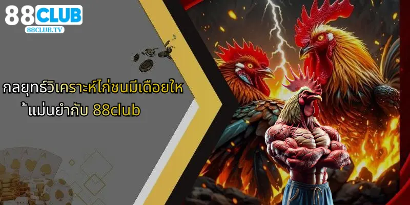 ไก่ชนมีเดือย: เจาะลึกความโดดเด่นและกลยุทธ์จาก 88Club 2 กลยุทธ์วิเคราะห์ไก่ชนมีเดือยให้แม่นยำกับ 88club