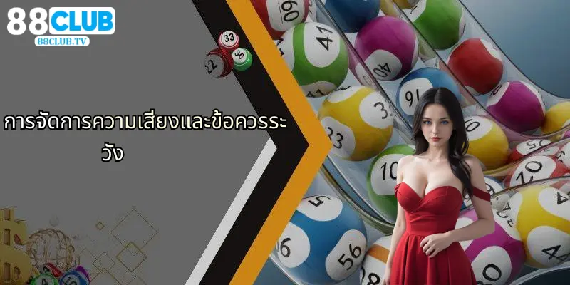 การจัดการความเสี่ยงและข้อควรระวัง