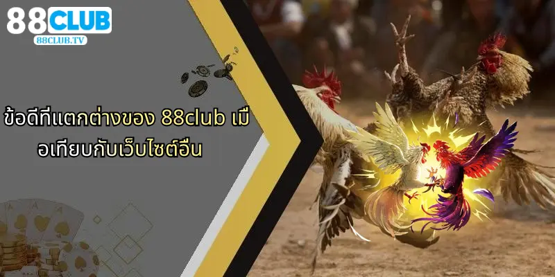 ไก่ชน 88Club: ประสบการณ์การเดิมพันที่เหนือระดับและกลยุทธ์ทำกำไร 4 ข้อดีที่แตกต่างของ 88club เมื่อเทียบกับเว็บไซต์อื่น