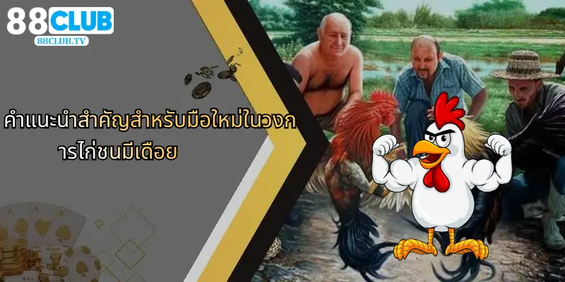ไก่ชนมีเดือย: เจาะลึกความโดดเด่นและกลยุทธ์จาก 88Club 5 คำแนะนำสำคัญสำหรับมือใหม่ในวงการไก่ชนมีเดือย