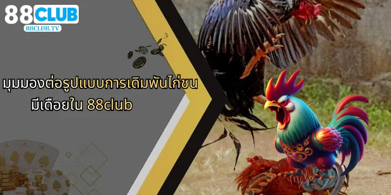 ไก่ชนมีเดือย: เจาะลึกความโดดเด่นและกลยุทธ์จาก 88Club 3 มุมมองต่อรูปแบบการเดิมพันไก่ชนมีเดือยใน 88club