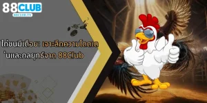 ไก่ชนมีเดือย-เจาะลึกความโดดเด่นและกลยุทธ์จาก-88club