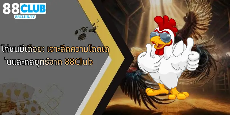 ไก่ชนมีเดือย: เจาะลึกความโดดเด่นและกลยุทธ์จาก 88Club 1 ไก่ชนมีเดือย-เจาะลึกความโดดเด่นและกลยุทธ์จาก-88club